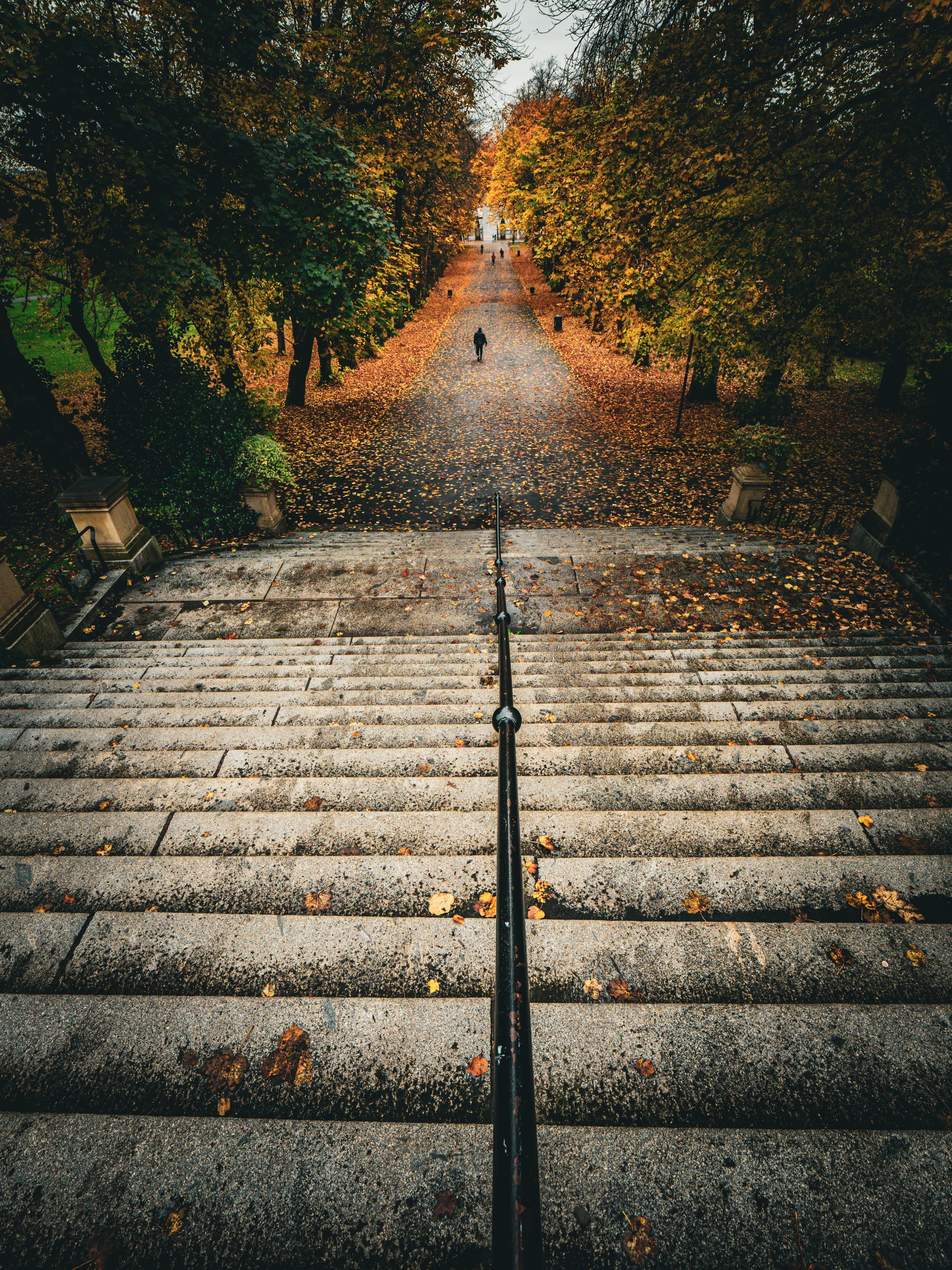 Autumn Axis, Queen’s Park, a fine art photograph from Queen’s Park, Glasgow