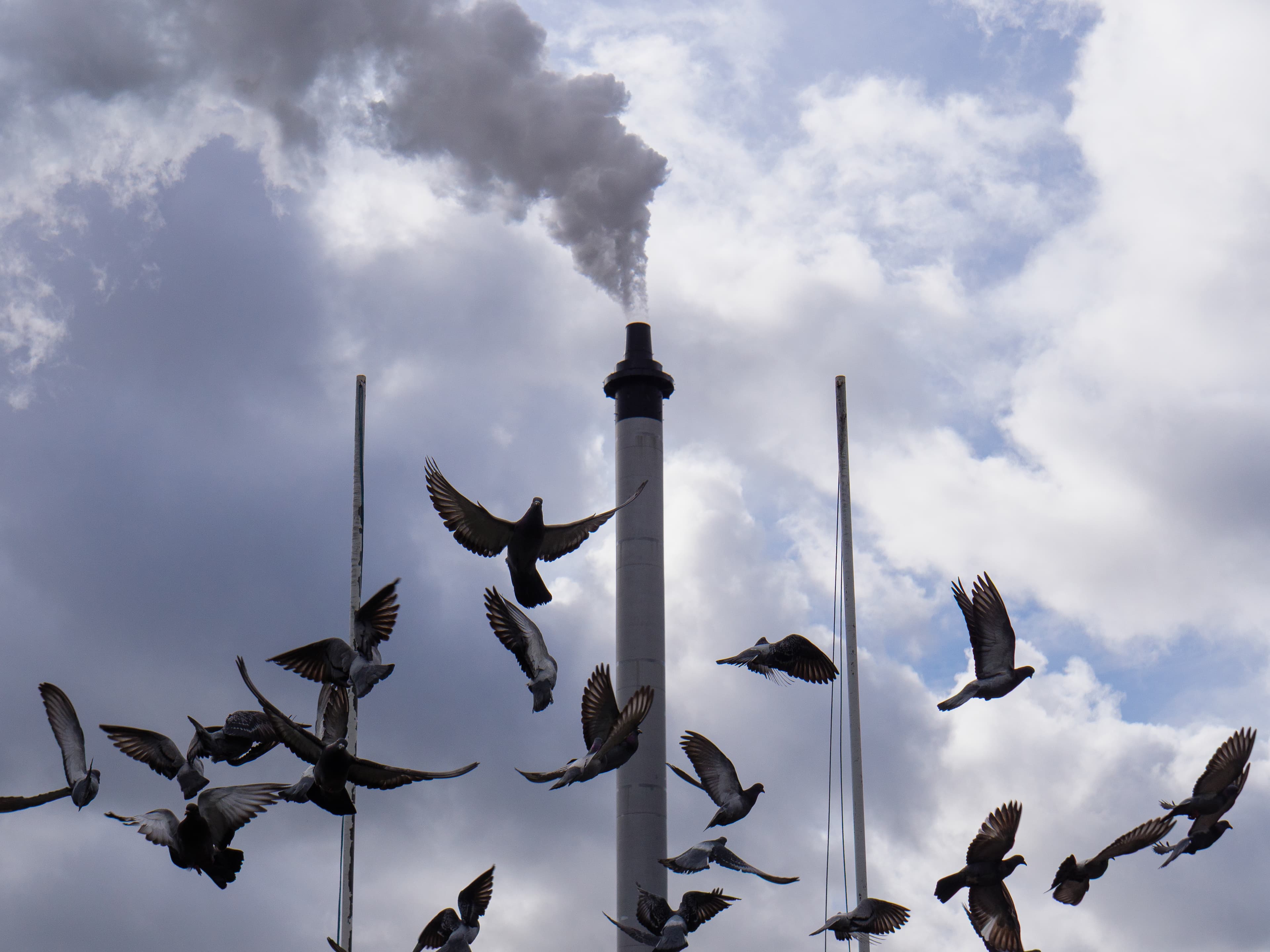 Industry in Flight, a fine art photograph from Glasgow Green, Glasgow