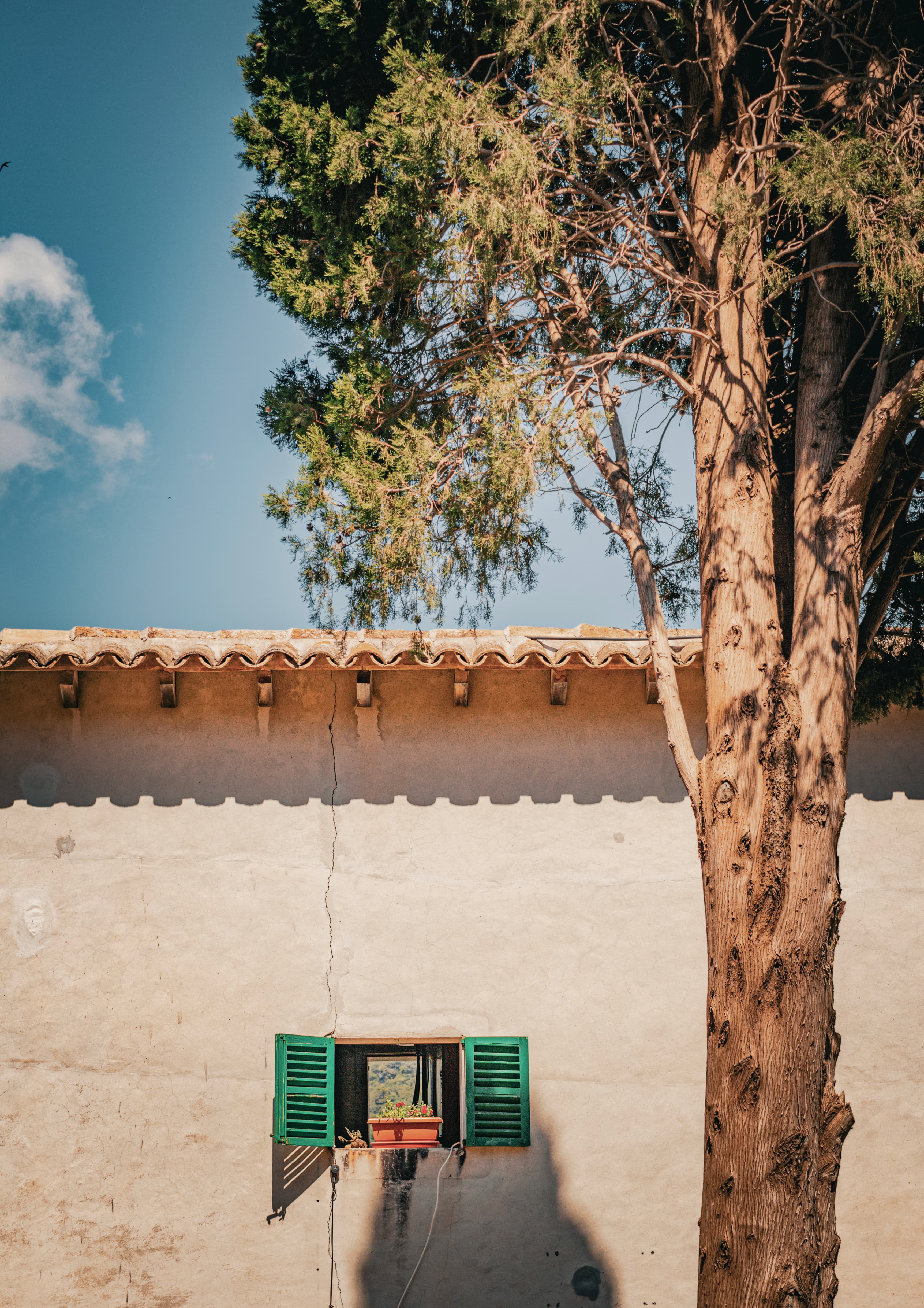 Green Shutters, a fine art photograph from Majorca