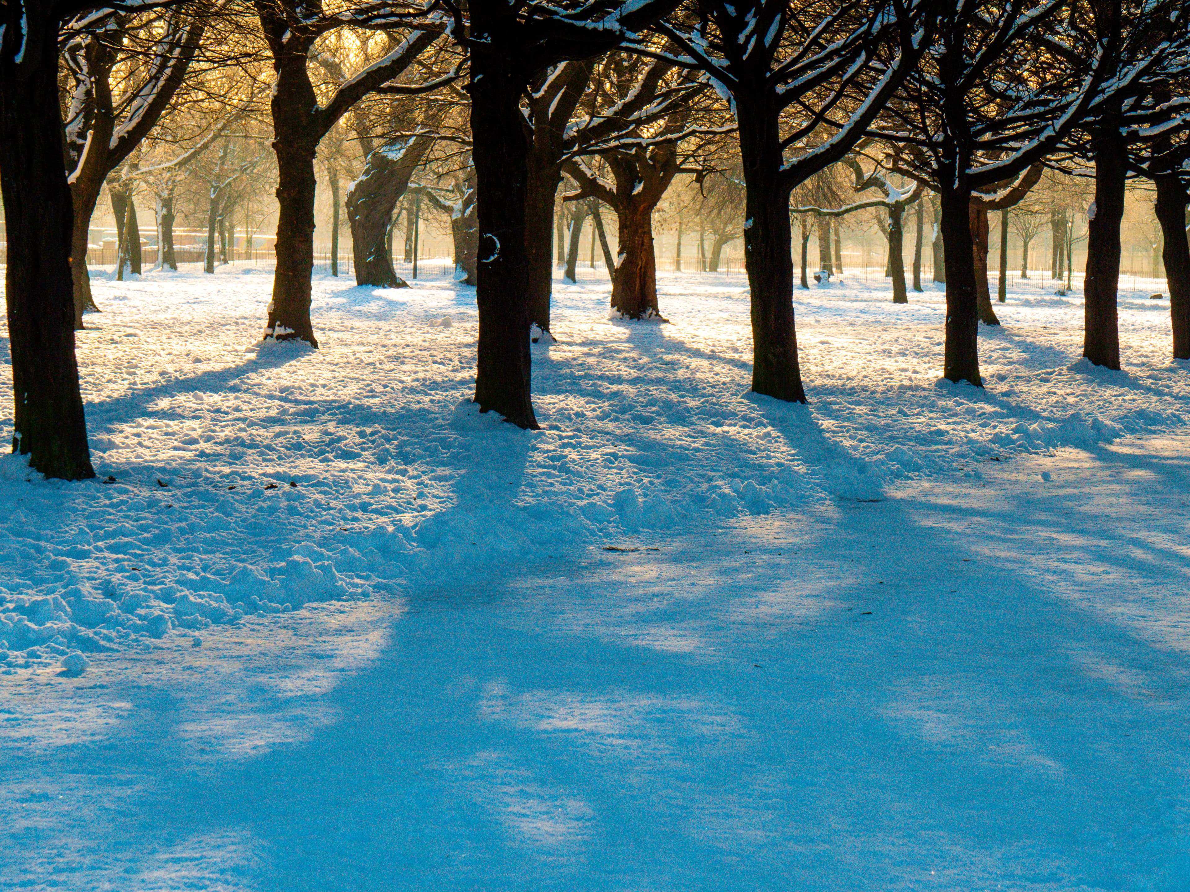 Winter Light, a fine art photograph from Highlands